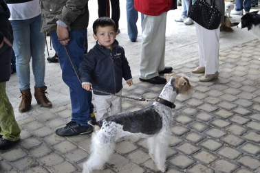 Este domingo se celebró en la terraza exterior del Centro Comercial Itaroa el I Concurso Canino de Navarra, con la participación de 29 perros de diferentes razas.