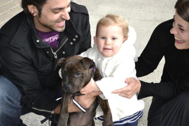 Este domingo se celebró en la terraza exterior del Centro Comercial Itaroa el I Concurso Canino de Navarra, con la participación de 29 perros de diferentes razas.