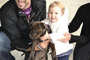 Este domingo se celebró en la terraza exterior del Centro Comercial Itaroa el I Concurso Canino de Navarra, con la participación de 29 perros de diferentes razas.
