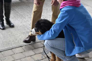 Este domingo se celebró en la terraza exterior del Centro Comercial Itaroa el I Concurso Canino de Navarra, con la participación de 29 perros de diferentes razas.
