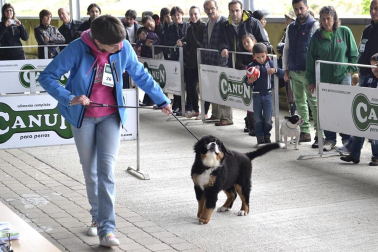 Este domingo se celebró en la terraza exterior del Centro Comercial Itaroa el I Concurso Canino de Navarra, con la participación de 29 perros de diferentes razas.