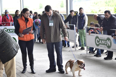 Este domingo se celebró en la terraza exterior del Centro Comercial Itaroa el I Concurso Canino de Navarra, con la participación de 29 perros de diferentes razas.