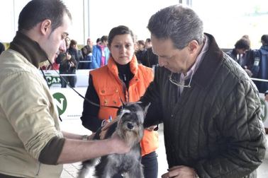 Este domingo se celebró en la terraza exterior del Centro Comercial Itaroa el I Concurso Canino de Navarra, con la participación de 29 perros de diferentes razas.