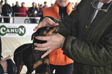 Este domingo se celebró en la terraza exterior del Centro Comercial Itaroa el I Concurso Canino de Navarra, con la participación de 29 perros de diferentes razas.