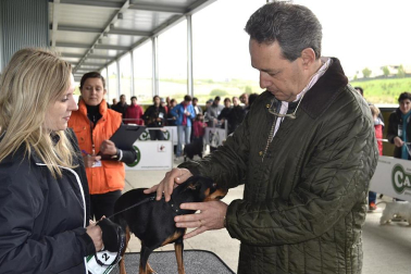 Este domingo se celebró en la terraza exterior del Centro Comercial Itaroa el I Concurso Canino de Navarra, con la participación de 29 perros de diferentes razas.