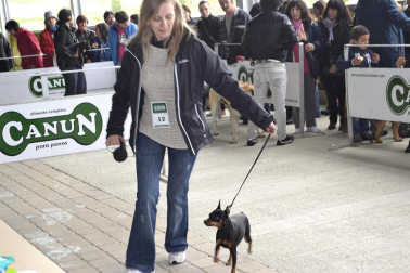 Este domingo se celebró en la terraza exterior del Centro Comercial Itaroa el I Concurso Canino de Navarra, con la participación de 29 perros de diferentes razas.