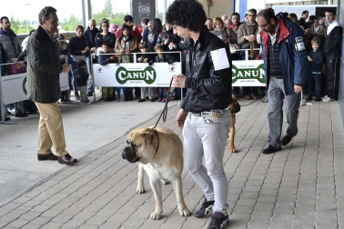Este domingo se celebró en la terraza exterior del Centro Comercial Itaroa el I Concurso Canino de Navarra, con la participación de 29 perros de diferentes razas.