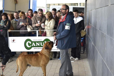 Este domingo se celebró en la terraza exterior del Centro Comercial Itaroa el I Concurso Canino de Navarra, con la participación de 29 perros de diferentes razas.