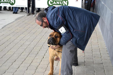 Este domingo se celebró en la terraza exterior del Centro Comercial Itaroa el I Concurso Canino de Navarra, con la participación de 29 perros de diferentes razas.