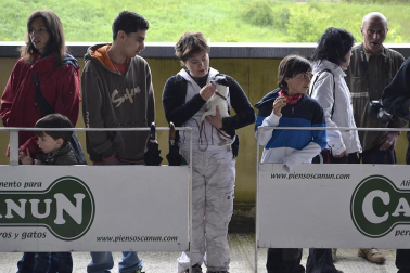 Este domingo se celebró en la terraza exterior del Centro Comercial Itaroa el I Concurso Canino de Navarra, con la participación de 29 perros de diferentes razas.
