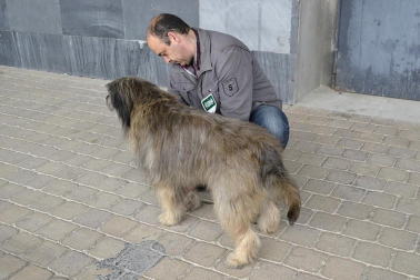 Este domingo se celebró en la terraza exterior del Centro Comercial Itaroa el I Concurso Canino de Navarra, con la participación de 29 perros de diferentes razas.
