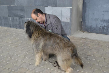 Este domingo se celebró en la terraza exterior del Centro Comercial Itaroa el I Concurso Canino de Navarra, con la participación de 29 perros de diferentes razas.