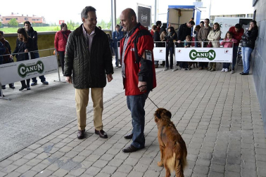 Este domingo se celebró en la terraza exterior del Centro Comercial Itaroa el I Concurso Canino de Navarra, con la participación de 29 perros de diferentes razas.