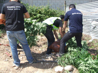 Desarticulada una organización que utilizaba conservas de productos de la ribera navarra para traficar con droga