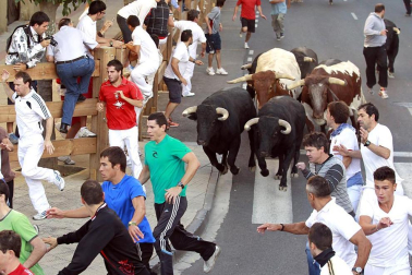 Imágenes de las fiestas patronales en las localidades navarras de Burlada, Cabanillas, Falces, Monteagudo, Murchante y Tafalla