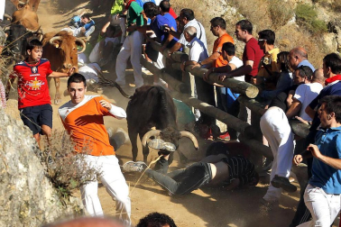 Imágenes de las fiestas patronales en las localidades navarras de Burlada, Cabanillas, Falces, Monteagudo, Murchante y Tafalla