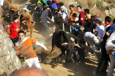 Imágenes de las fiestas patronales en las localidades navarras de Burlada, Cabanillas, Falces, Monteagudo, Murchante y Tafalla
