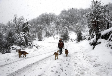 Nevadas caídas en el norte de la Comunidad foral el miércoles 6 de febrero