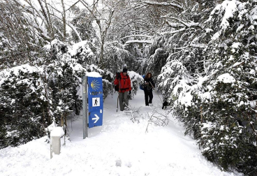Nevadas caídas en el norte de la Comunidad foral el miércoles 6 de febrero
