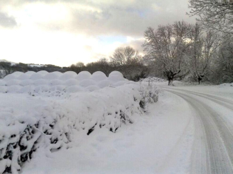 Nevadas caídas en el norte de la Comunidad foral el miércoles 6 de febrero