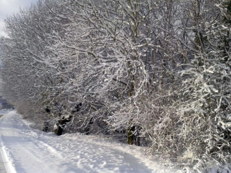 Nevadas caídas en el norte de la Comunidad foral el miércoles 6 de febrero