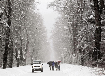 Nevadas caídas en el norte de la Comunidad foral el miércoles 6 de febrero