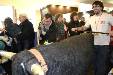 Feria Internacional del Turismo en Navarra