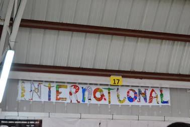 Pancartas de la carpa