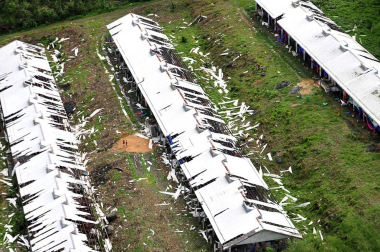 Más de 100 personas han perdido la vida en la ciudad de Tacloban, la capital de la provincia de Leyte, centro del país, tras el paso del tifón Haiyan por el archipiélago.
