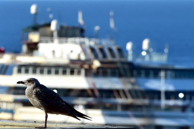 Los restos del crucero Costa Concordia, en cuyo naufragio, ocurrido en 2012, murieron 32 personas, permanecen aún frente a las costas italianas.