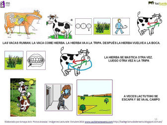 Pictogramas para la visita de los niños de ANA a las instalaciones de Lacturale