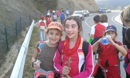 Imágenes de la primera Javierada de 2015 enviadas por los lectores