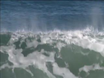 Un tiburón ataca al surfista australiano Mick Fanning.