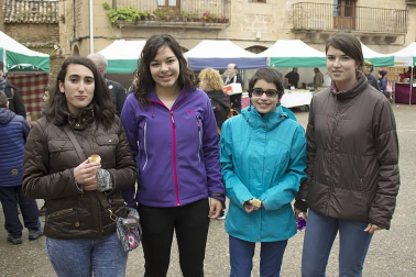 Dicastillo acogió un año más la fiesta en honor a este preciado manjar. El Ayuntamiento de la localidad junto al Consorcio Turístico de Tierra Estella fueron los encargados de organizar el evento, cuyo acto más esperado fue la degustación popular, al que acompañó el Certamen de Espárrago, que ha alcanzado su vigésima edición, y el XVIII Mercado de Productos Artesanos Agroalimentarios.