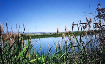 El embalse de las Cañas y la Estanca de los Dos Reinos, zonas de especial conservación