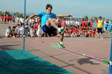 Los colegios públicos de Valtierra, Cadreita y Villafranca celebraron el 5 de junio las Olimpiadas Intercentros. 450 alumnos disfrutaron de esta iniciativa deportiva, en la que se disputaron pruebas clásicas de atletismo como velocidad o saltos de longitud y altura. Una jornada en la que el compañerismo fue el principal protagonista.