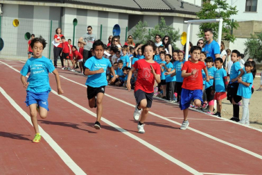 Los colegios públicos de Valtierra, Cadreita y Villafranca celebraron el 5 de junio las Olimpiadas Intercentros. 450 alumnos disfrutaron de esta iniciativa deportiva, en la que se disputaron pruebas clásicas de atletismo como velocidad o saltos de longitud y altura. Una jornada en la que el compañerismo fue el principal protagonista.