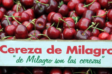 'De Milagro son las cerezas'. Bajo este lema se celebró el 19 de junio el XVII Día de la Cereza, fiesta de interés turístico regional en la que el rojo fruto es protagonista. Además de la gran feria, en la que se pusieron a la venta miles de kilos de cerezas, también se pudo disfrutar de degustaciones y concursos con esta fruta como protagonista, así como ambientación musical, talleres y actividades para los más pequeños.