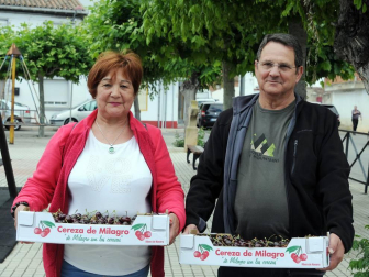 'De Milagro son las cerezas'. Bajo este lema se celebró el 19 de junio el XVII Día de la Cereza, fiesta de interés turístico regional en la que el rojo fruto es protagonista. Además de la gran feria, en la que se pusieron a la venta miles de kilos de cerezas, también se pudo disfrutar de degustaciones y concursos con esta fruta como protagonista, así como ambientación musical, talleres y actividades para los más pequeños.