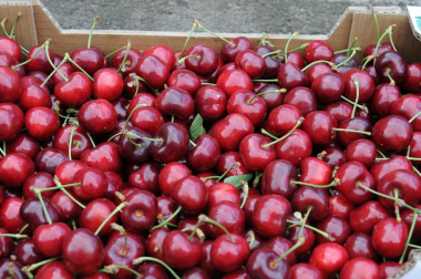 'De Milagro son las cerezas'. Bajo este lema se celebró el 19 de junio el XVII Día de la Cereza, fiesta de interés turístico regional en la que el rojo fruto es protagonista. Además de la gran feria, en la que se pusieron a la venta miles de kilos de cerezas, también se pudo disfrutar de degustaciones y concursos con esta fruta como protagonista, así como ambientación musical, talleres y actividades para los más pequeños.