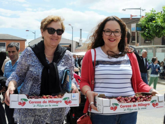 'De Milagro son las cerezas'. Bajo este lema se celebró el 19 de junio el XVII Día de la Cereza, fiesta de interés turístico regional en la que el rojo fruto es protagonista. Además de la gran feria, en la que se pusieron a la venta miles de kilos de cerezas, también se pudo disfrutar de degustaciones y concursos con esta fruta como protagonista, así como ambientación musical, talleres y actividades para los más pequeños.