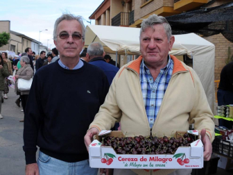 'De Milagro son las cerezas'. Bajo este lema se celebró el 19 de junio el XVII Día de la Cereza, fiesta de interés turístico regional en la que el rojo fruto es protagonista. Además de la gran feria, en la que se pusieron a la venta miles de kilos de cerezas, también se pudo disfrutar de degustaciones y concursos con esta fruta como protagonista, así como ambientación musical, talleres y actividades para los más pequeños.