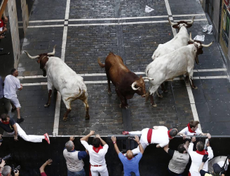 Varios 'cebadas' sueltos siembran el pánico y dejan cinco corneados
