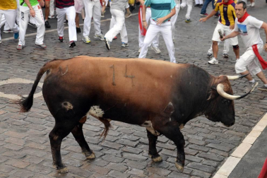 Varios 'cebadas' sueltos siembran el pánico y dejan cinco corneados