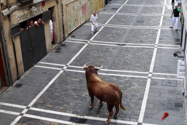 Varios 'cebadas' sueltos siembran el pánico y dejan cinco corneados