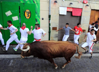 Varios 'cebadas' sueltos siembran el pánico y dejan cinco corneados