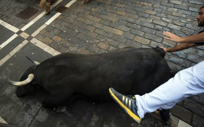 Varios 'cebadas' sueltos siembran el pánico y dejan cinco corneados