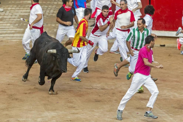 Imágenes exclusivas del segundo encierro de los fotógrafos de Diario de Navarra.