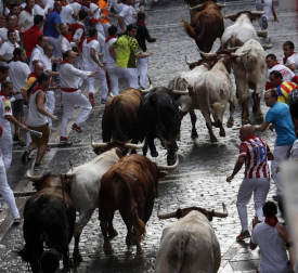Un encierro masivo y sin cornadas en el domingo de Sanfermines