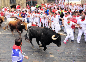 Un encierro masivo y sin cornadas en el domingo de Sanfermines